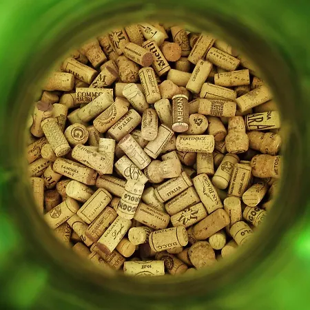 Apartment Raviola E Tajarin *