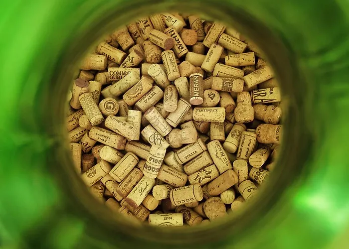 Διαμέρισμα Raviola E Tajarin *